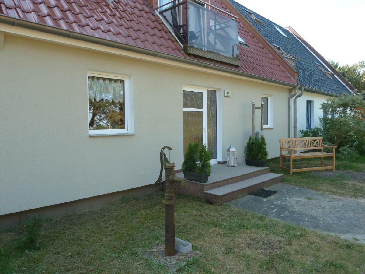Romantisches Ferienhaus Boddenblick Mit Sauna Pruchten エクステリア 写真